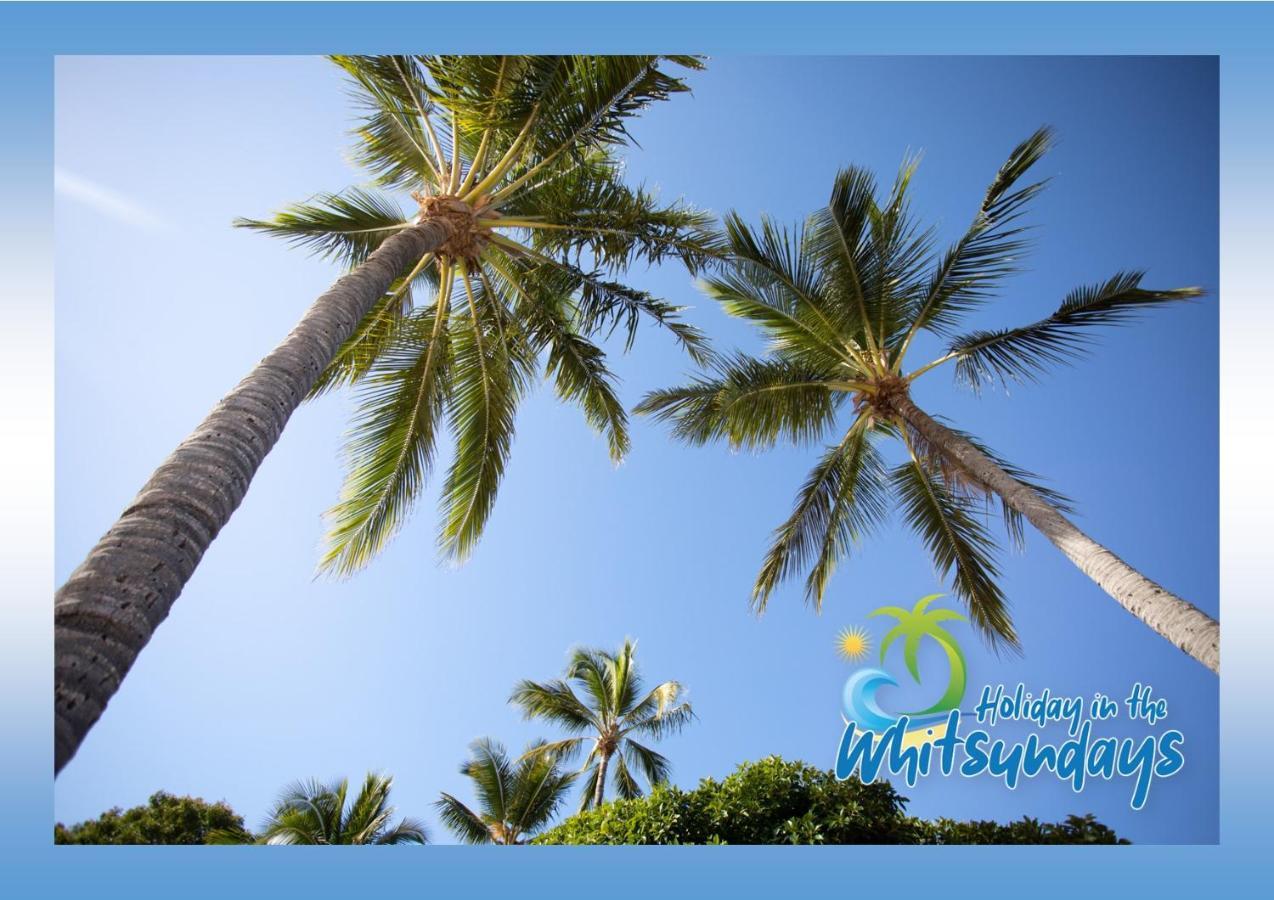 Ocean Views 16 Pool & Spa Wi-Fi Airlie Beach Zewnętrze zdjęcie